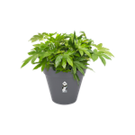 loft urban rund rollen 50cm anthrazit